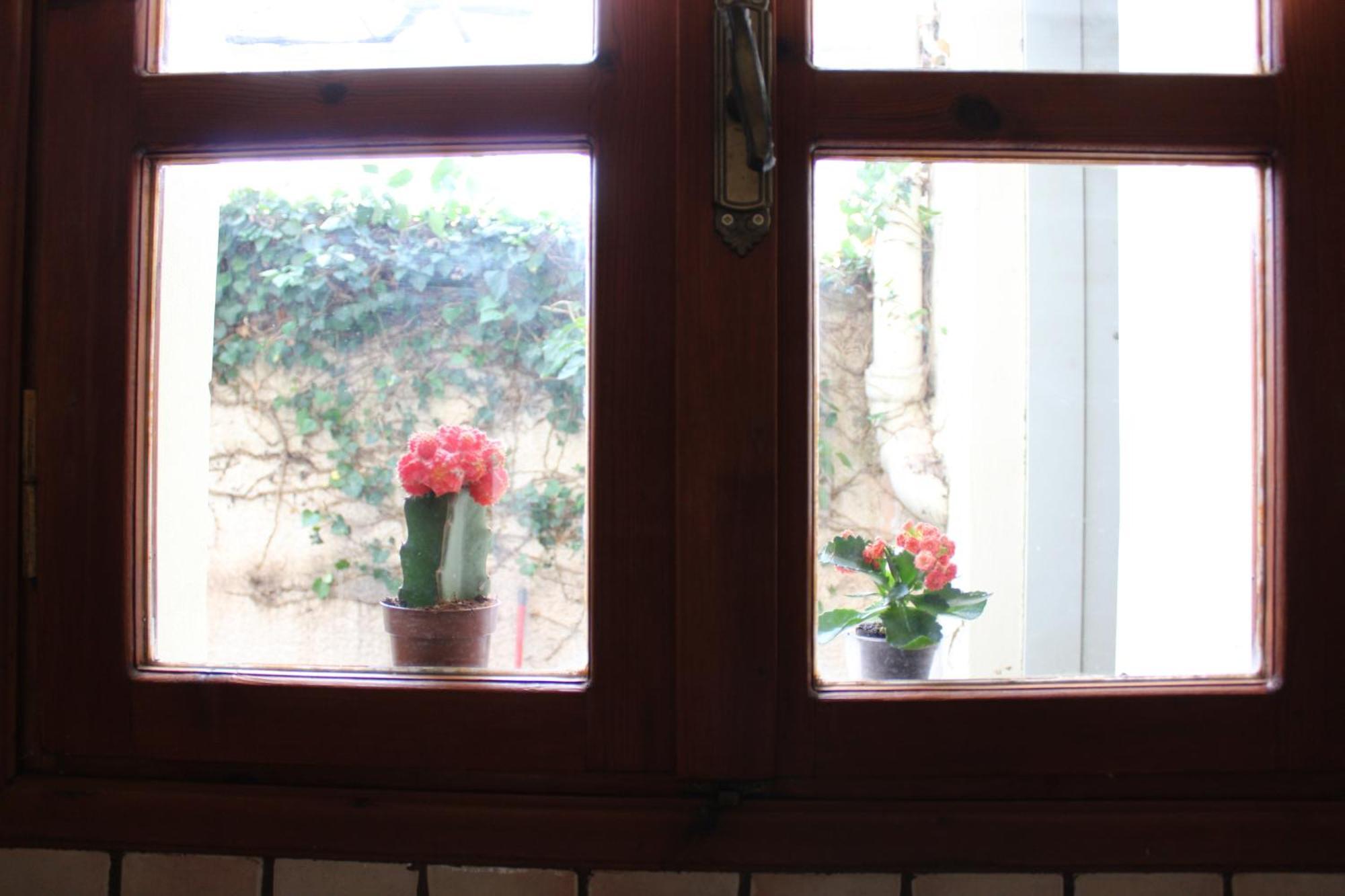 Felia Villa Stavrós Buitenkant foto